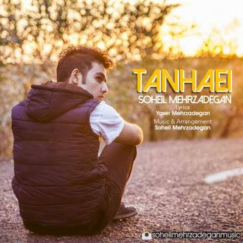 دانلود آهنگ تنهایی سهیل مهرزادگان