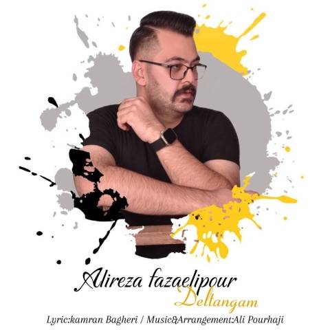 دانلود آهنگ دلتنگم علیرضا فضائلی پور