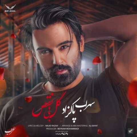 دانلود آهنگ گل بی نقص سهراب پاکزاد