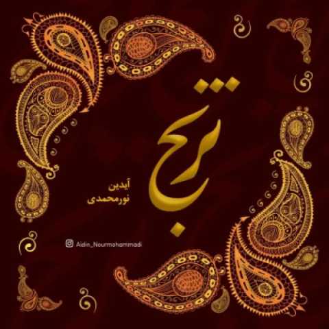 دانلود آهنگ ترنج آیدین نورمحمدی