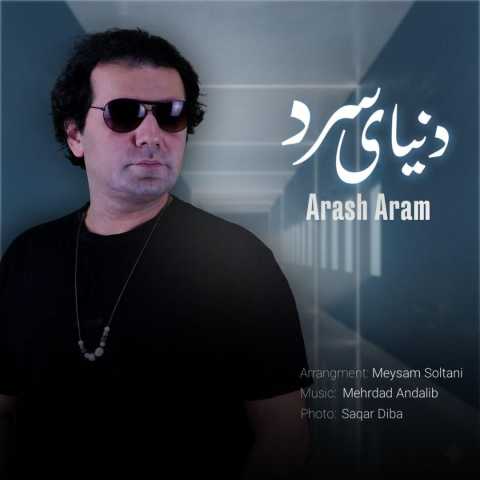 دانلود آهنگ دنیای سرد آرش آرام